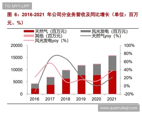 专业分析LNG市场的监控策略与应对措施探讨