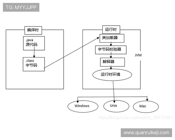 Elk射手全面解析探秘其背景特点技能机制与战术运用